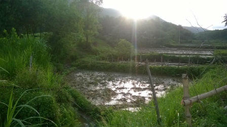 Hành trình giải mã vụ án nấu nhầm cao… người (P1)