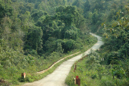 Bốn chiếc lá “bùa yêu” chấn động phiên tòa bé gái 16 si tình ông 67?