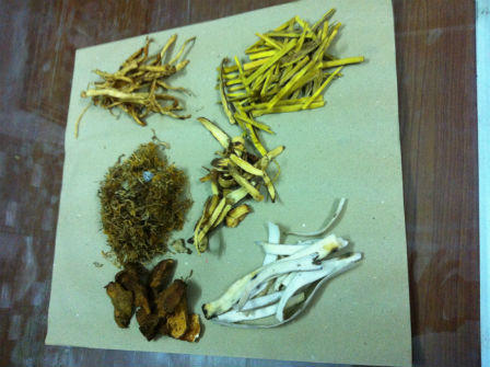 Hai bài thuốc “cứu nguy” cho bệnh nhân viêm âm đạo và tắc tia sữa