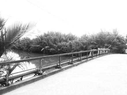 Nữ sinh 16 tuổi dại dột nhảy sông, bạn trai thờ ơ không kêu cứu?