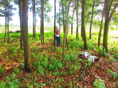 Chú rể bóp cổ cô dâu cướp của ngay trước ngày cưới