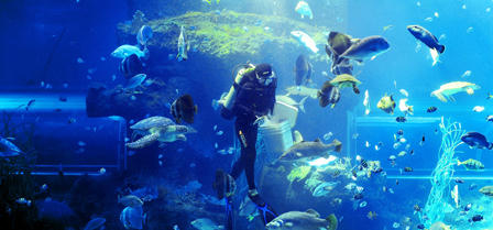 Trải nghiệm “Lốc xoáy” sảng khoái tại Phú Quốc