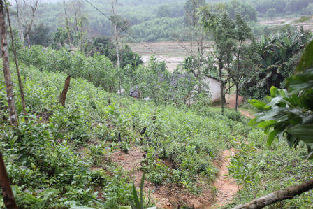  “Kỷ lục” buồn ở Quảng Nam: 38 tuổi đã đẻ 15 đứa con