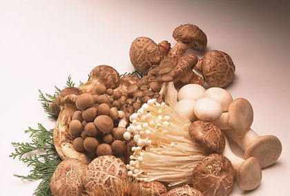 Ăn Tết thế nào để không lo béo?