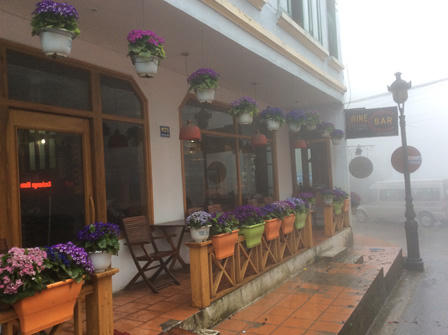 Ngắm những bậc thềm hoa đẹp ngây ngất ở Sapa