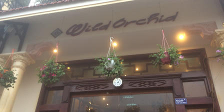 Ngắm những bậc thềm hoa đẹp ngây ngất ở Sapa