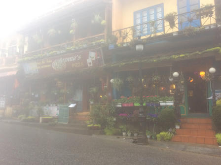 Ngắm những bậc thềm hoa đẹp ngây ngất ở Sapa