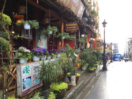 Ngắm những bậc thềm hoa đẹp ngây ngất ở Sapa