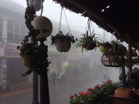 Ngắm những bậc thềm hoa đẹp ngây ngất ở Sapa