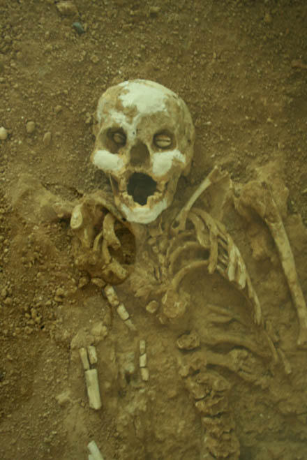 Sự thật về “ma núi” Phia Vài