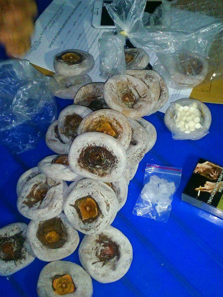 Trinh sát kể chuyện bắt “ông trùm” 24 tuổi dưới mác sinh viên