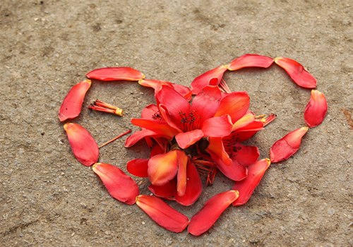 Ghép thành trái tim đỏ để tặng ai đó