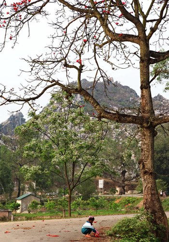 Những cánh hoa đỏ sẽ kết thành chuỗi vòng đeo cổ của bé gái