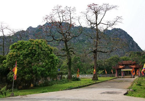 Cây hoa gạo thường được trồng ở chùa và những nơi linh thiêng, để những linh hồn lang thang được nương tựa bóng Thần, Phật mà mong chóng được siêu thoát