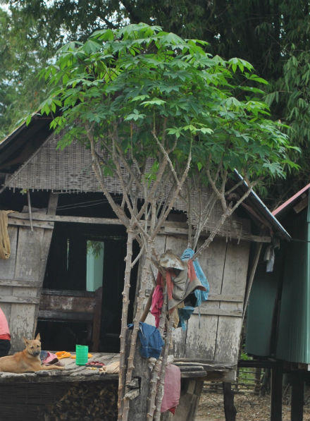 Thầy cúng bị đuổi ra rừng sau vụ thảm sát 3 người chết