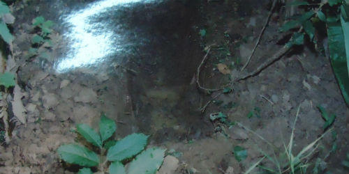 Hành trình truy tìm kẻ thủ ác lột da mặt nạn nhân (P1)