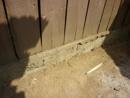 Hy hữu: Phá án mất vàng, tìm được thủ phạm là một lũ... chuột