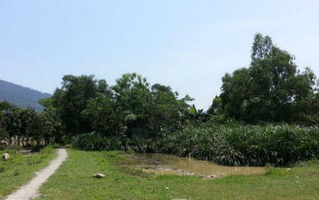 Kỳ lạ: Ba phụ nữ đơn thân “xây ốc đảo” sống biệt lập