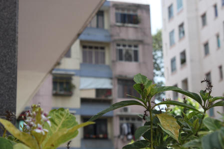 Nghiện keo chó, giết sản phụ cướp tiền