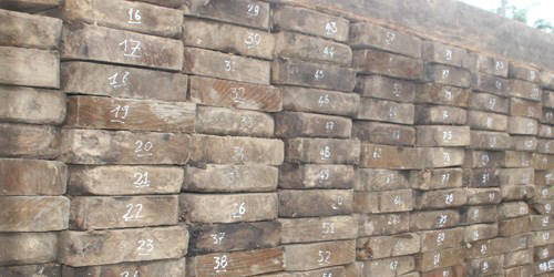 Hành trình vạch mặt Trạm trưởng kiểm lâm tiếp tay lâm tặc (kỳ 1)  