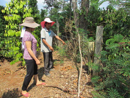 Bốn năm đi kiện vì con chó bênh chủ