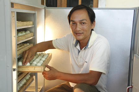 10 năm thai nghén “gà điện tử” ấp trứng thay 700 con gà thật