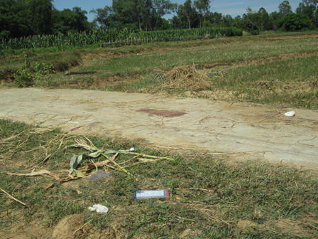 Mời bạn đi cà phê "giảng hòa", giết luôn bạn, cướp của