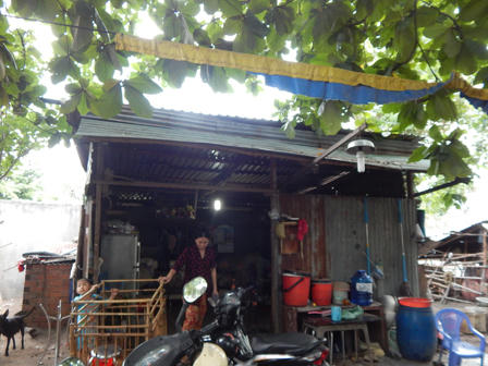 Huyền thoại ngựa đua náu nghĩa trang chờ thời