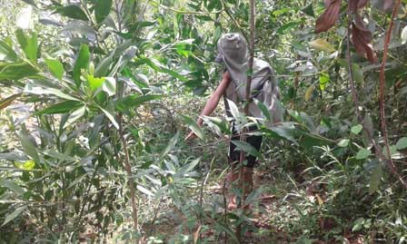 Theo dấu “ác quỷ” sáng ra trại, chiều hãm hiếp bà lão