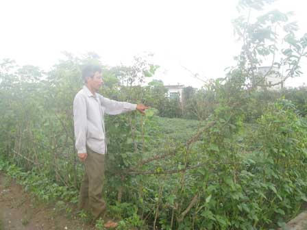 Nam Định: Dự án “ma” đẩy nông dân vào cảnh khốn cùng?