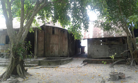 Cô gái bạc tình bị "bắt cóc cạo đầu" trước ngày lên xe hoa