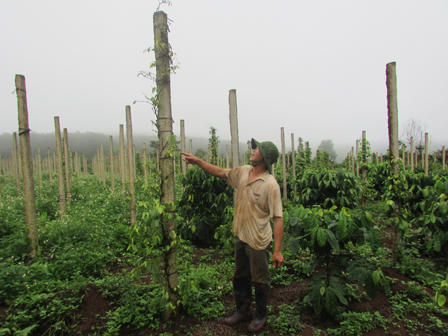 Vỡ giấc mộng làm giàu, anh nông dân gây đại án, giết người hàng loạt