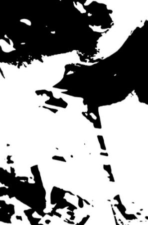 Tự trắc nghiệm tâm lý nhờ bức ảnh đặc biệt