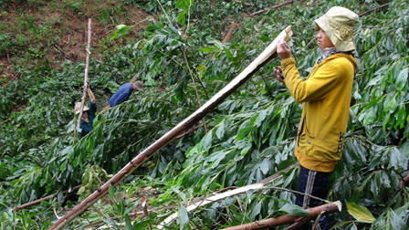 Bị ép làm tiếp viên kích dục, nhóm sơn nữ lập mưu kế thoát thân