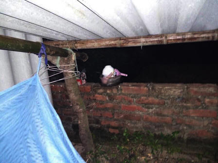 Thảm án ở Thạch Thất: Cận cảnh túp lều giữa đồng của nghi can