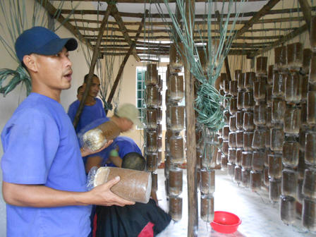 “Phương thuốc” đặc biệt chữa bệnh cho 487 số phận tâm thần hẩm hiu