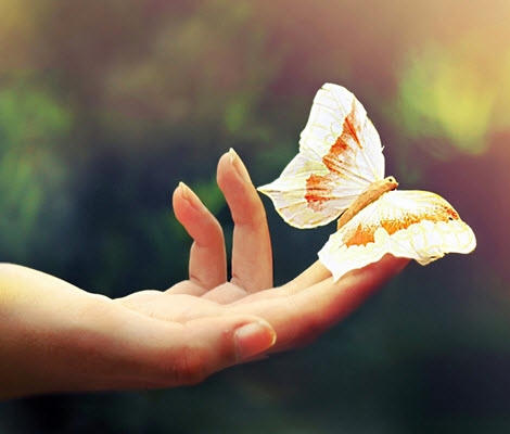 Còn đớn đau là còn khó buông tay