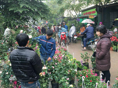 Tưng bừng hương sắc Tết  trên chợ hoa Vạn Phúc 