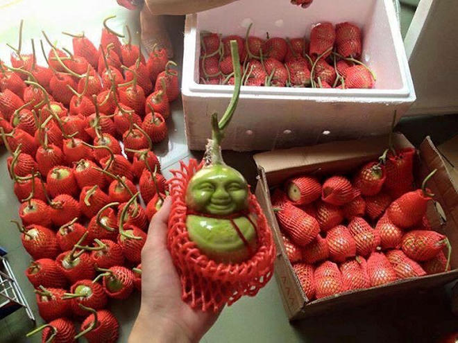 Thị trường quà Tết 2016: Hàng “độc lạ” hút khách