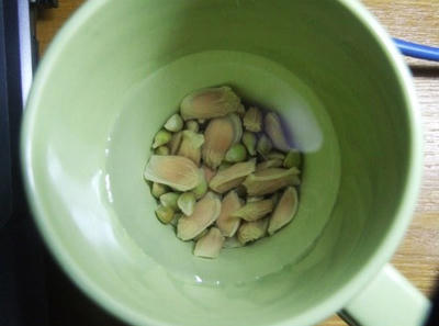 15 bài thuốc dễ kiếm chữa ho có đờm cực hiệu nghiệm