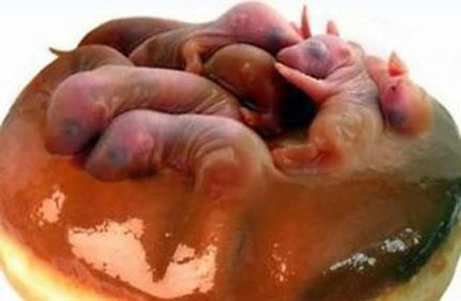 Ngày xuân, cùng luận chuyện “xuân dược” 