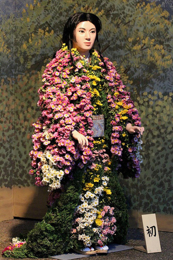 Kỳ thú lễ hội búp bê hoa cúc