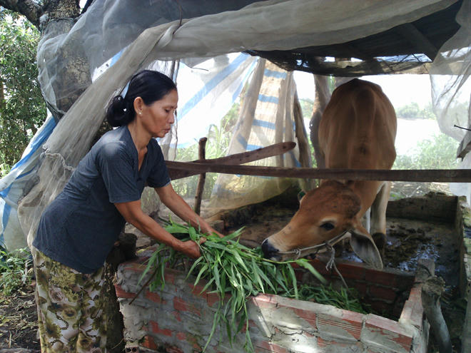 Cha nghèo cướp 50 ngàn đồng “đưa con đi viện”