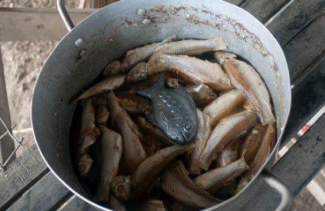 Thả con cá sắt vào nồi nấu ăn cho người thiếu sắt
