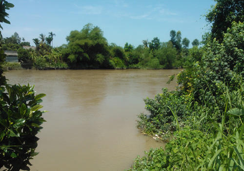 Nghệ sỹ ấu dâm, đánh bạc - những con sâu của nghệ thuật