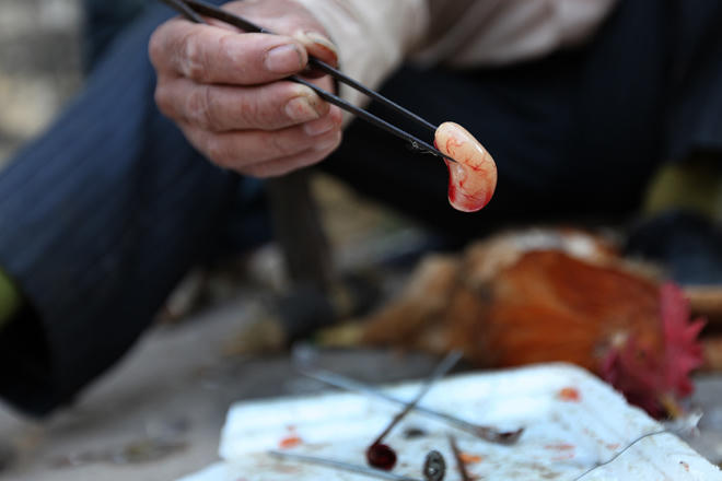 Thợ “thiến” chốn chợ phiên biên ải