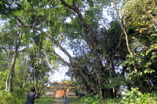 Tục săn máu và bản hiệp ước lạ kỳ