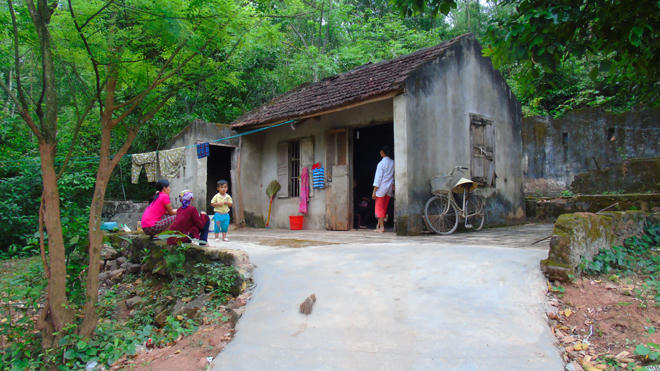 Mẹ già bị bạo hành gây phẫn nộ dư luận