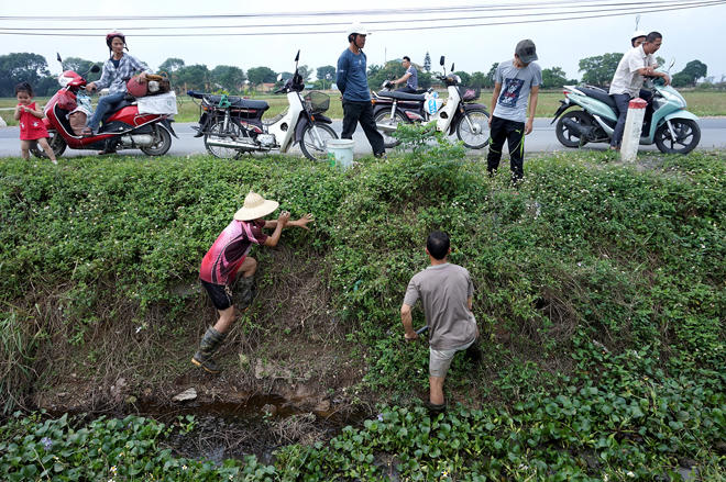 Trai tráng Thủ đô săn chuột đồng làm mồi nhậu