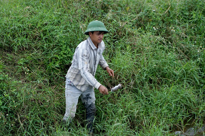 Trai tráng Thủ đô săn chuột đồng làm mồi nhậu